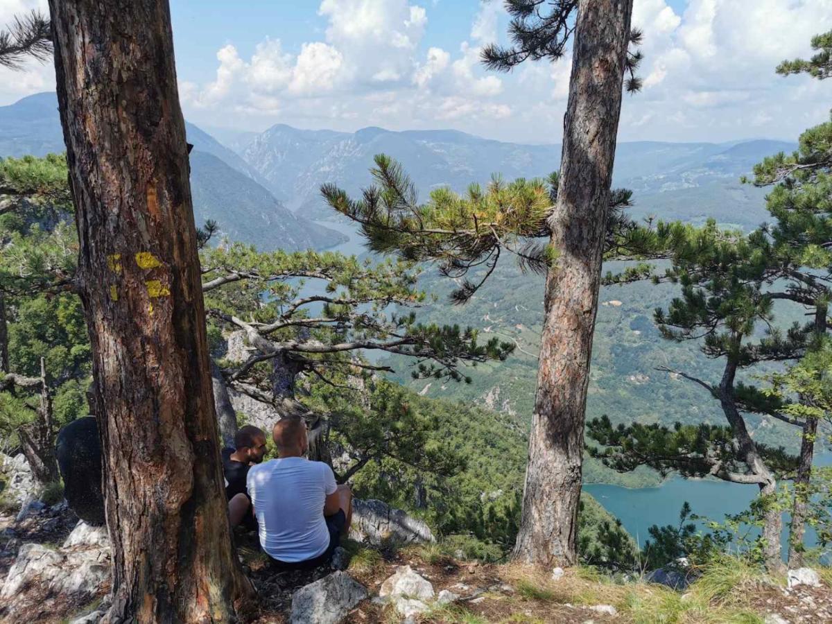Apartman Bugar Mitrovac Εξωτερικό φωτογραφία